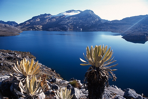 La conciencia de una sola tierra : El Cocuy La conciencia de una sola tierra : El Cocuy