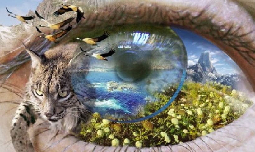La conciencia de una sola tierra : Fascinación La conciencia de una sola tierra : Fascinación